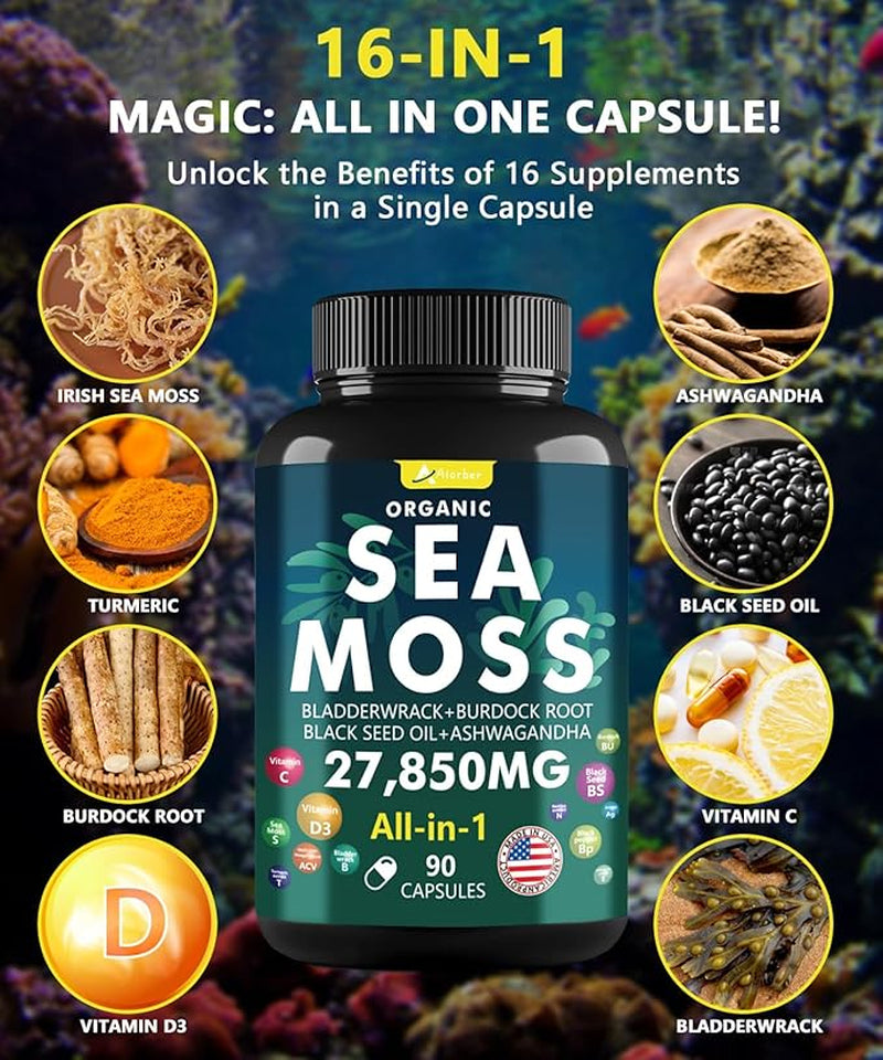 Sea Moss Capsules with Black Seed Oil, Aşhwagandha, Ginger & Vitamin C - Advanced Sea Moss Pills, Wildcrafted Sea Moss, Bladderwrack & Elderberry, 90 Tablets