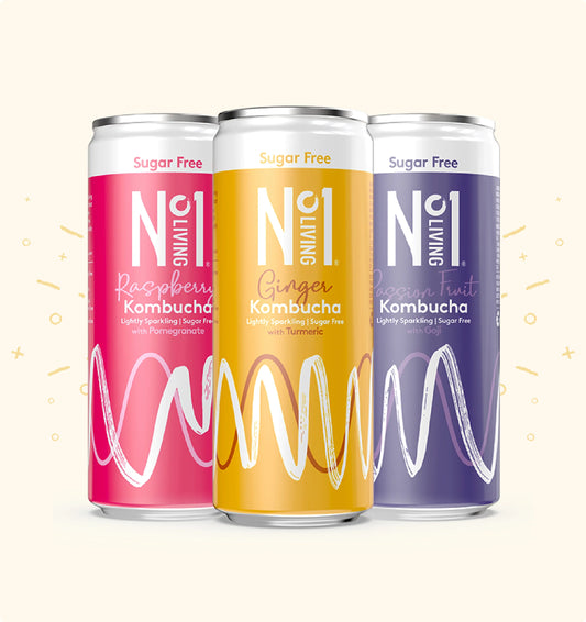 Sugar Free Kombucha Multi Pack