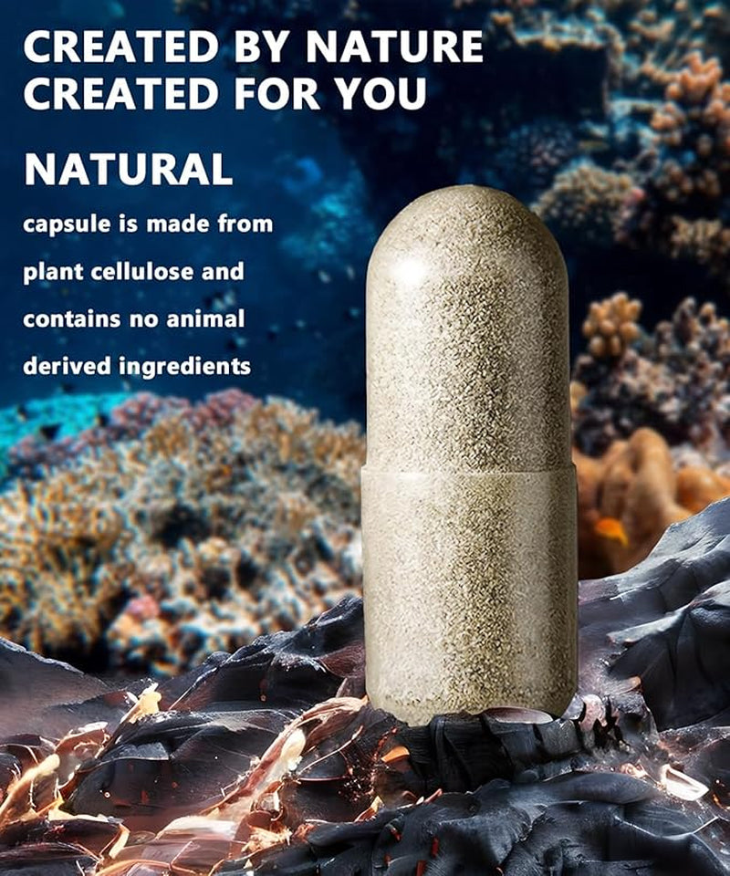 Sea Moss Capsules with Black Seed Oil, Aşhwagandha, Ginger & Vitamin C - Advanced Sea Moss Pills, Wildcrafted Sea Moss, Bladderwrack & Elderberry, 90 Tablets